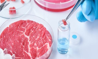Лабораторный анализ пищевых продуктов по СанПиН в Каспийске в октябре