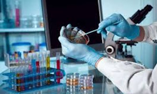Лабораторный анализ воды из колодца в Каспийске в октябре