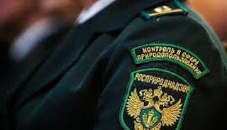 Подготовка к проверке Росприроднадзора в Каспийске от ПромМир-Ксп, стоимость услуги от 20362 руб.